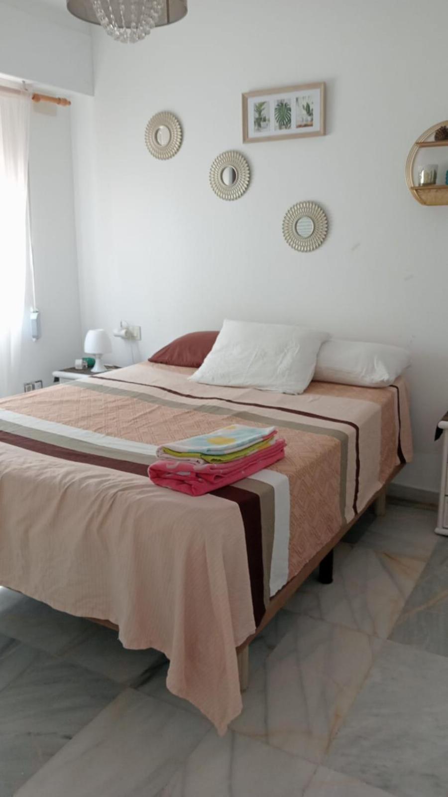 Apartamento Con Wifi, Mascotas Bienvenidas بينايدورم المظهر الخارجي الصورة